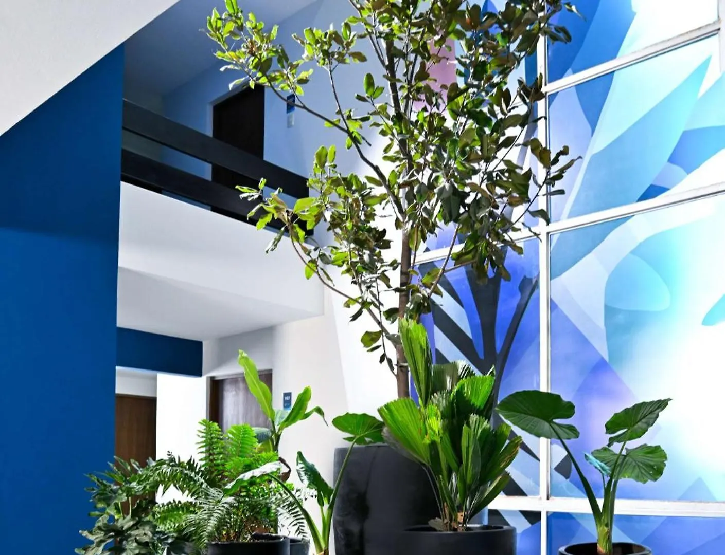 Vista Express Guadalajara Expo Surestay Collection By BW Zapopan 4*,